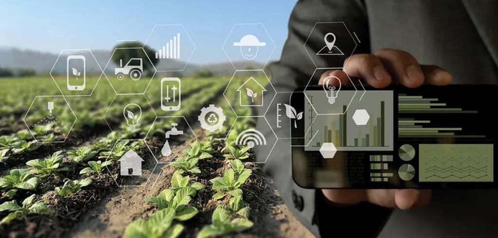 Smart Agriculture – Data for Every Farmer